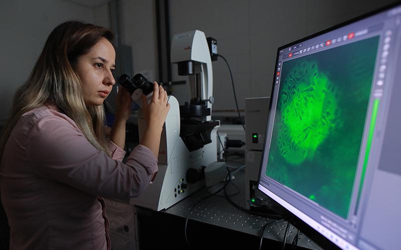 A woman in a lab looking at a computer while using a microscope